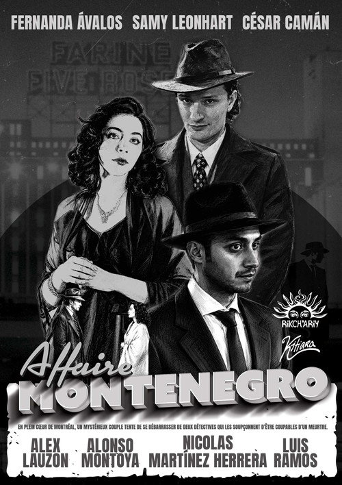 Affaire Montenegro