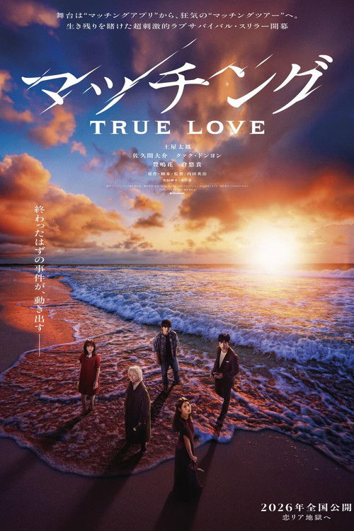 マッチング TRUE LOVE