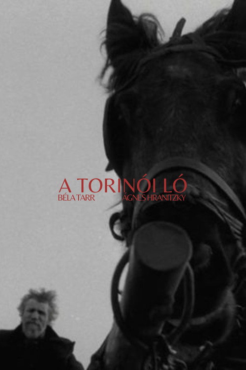 Torino Atı