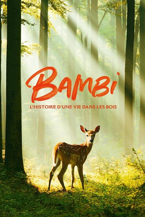 Bambi, l'histoire d'une vie dans les bois